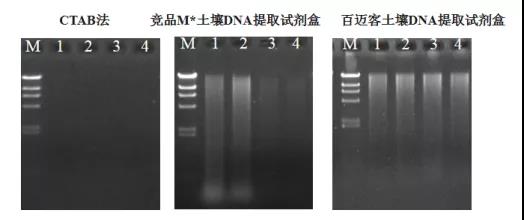 小機潤滑濾芯