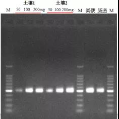 頗爾聚結(jié)濾芯